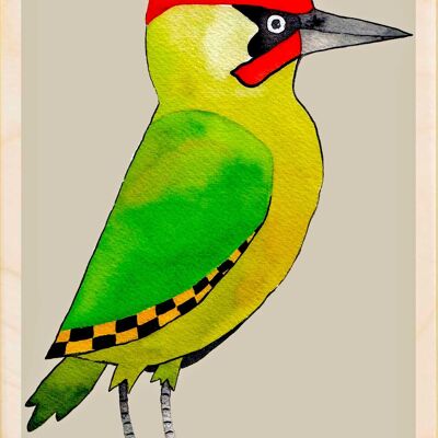 Pic, cartes postales en bois durables, lot de 6 (10 x 15 cm) | The Wooden Postcard Company