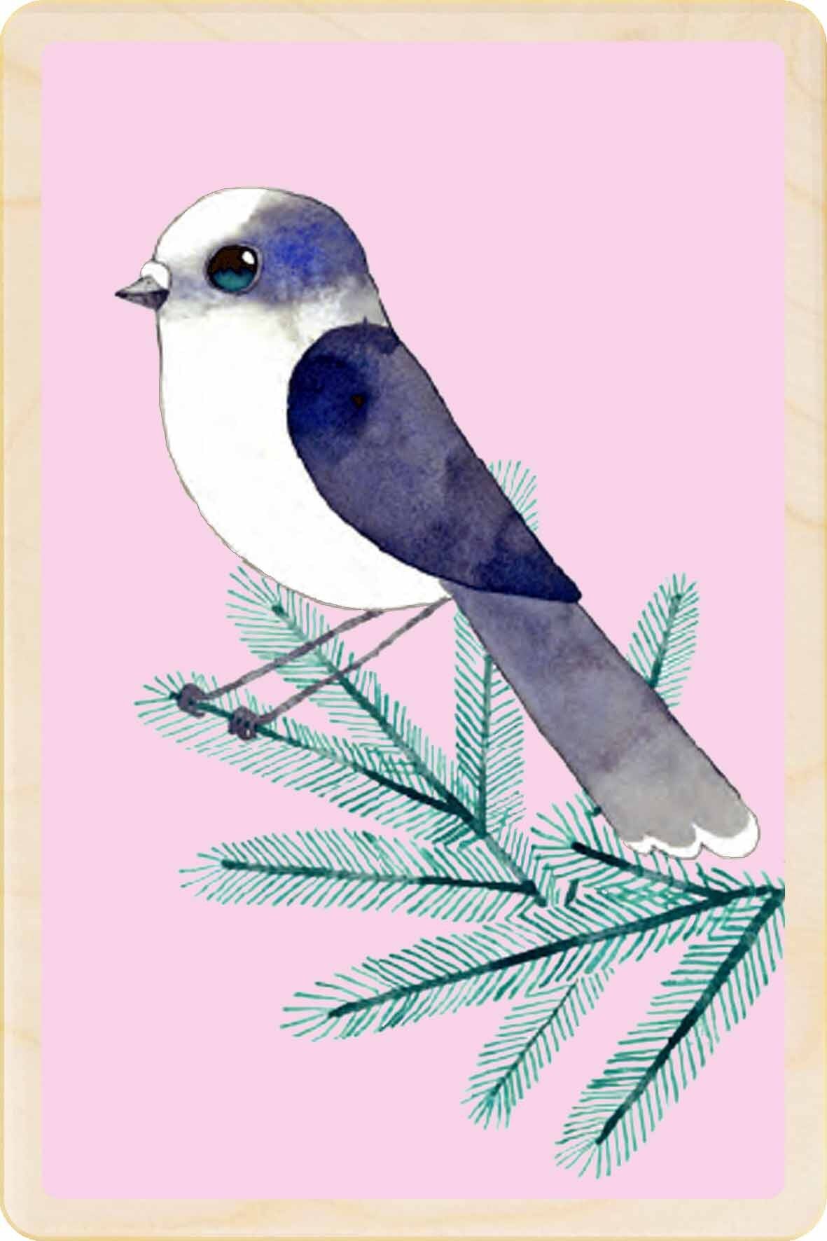 Kanadischer Eichelhäher, nachhaltige Holzpostkarten, 6er-Set (10x15cm) | The Wooden Postcard Company