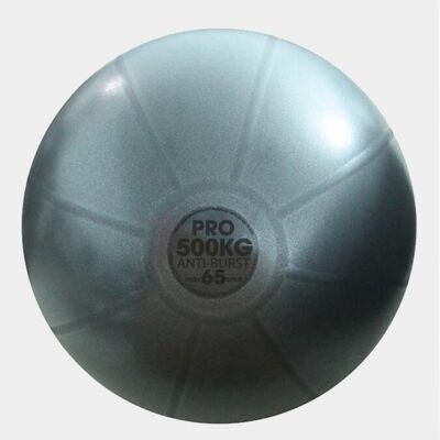 Ballon suisse Yoga Mad 500 kg Studio Pro - 65 cm - Graphite