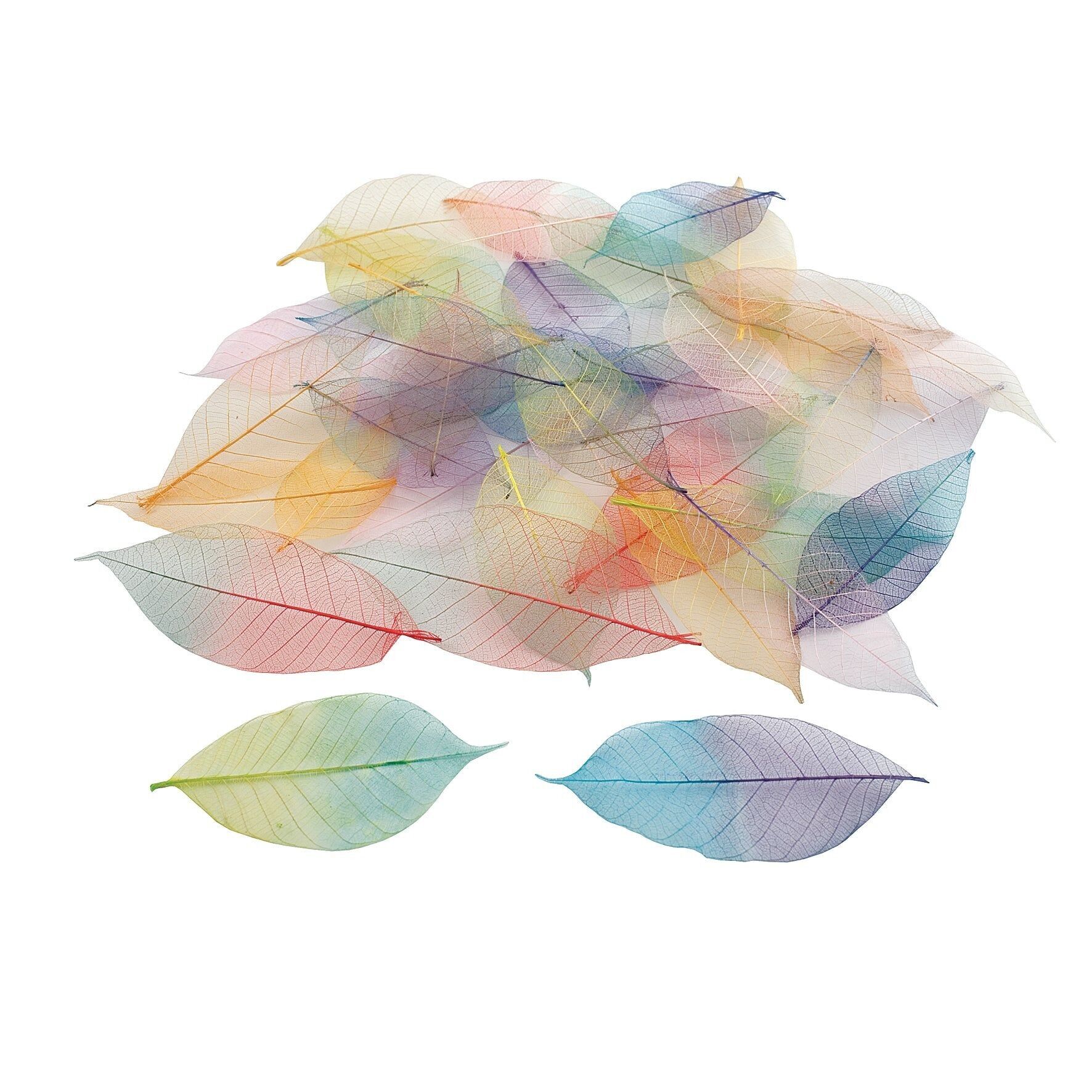 Foglie scheletriche Papermania, bicolore, confezione da 40, articoli per la creazione di biglietti e scrapbooking, decorazioni artigianali per adulti e bambini, perfette per progetti di bricolage per la casa.