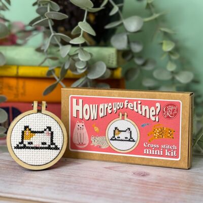 ´¿Cómo estás felino?' Kit de punto de cruz Mini Matchbox