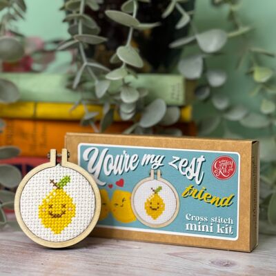 'You're my zest friend' Mini Matchbox Cross Stitch Kit
