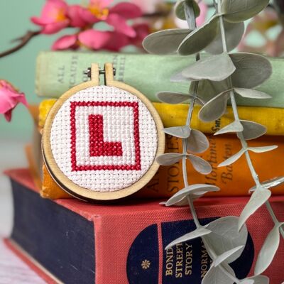 ´¡Has pasado!' (Placa L) Kit de punto de cruz Mini Matchbox