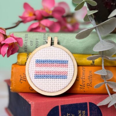 ´¡Vive fuerte, vive orgulloso!' Kit de punto de cruz Mini Matchbox