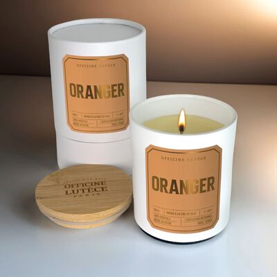 Oranger - Bougie parfumée
