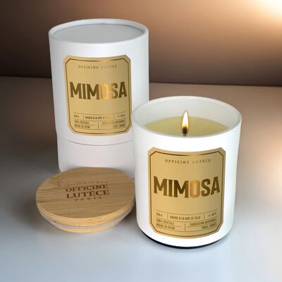 Mimosa - Vela perfumada
