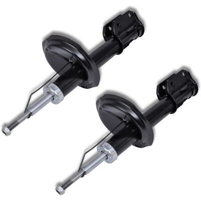 Set di ammortizzatori a gas in 2 pezzi per Fiat/Lancia