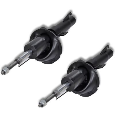 Ensemble d'amortisseurs à gaz 2 pièces pour Ford/Mazda