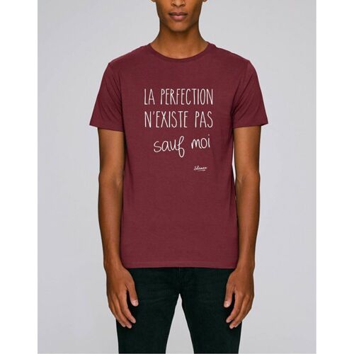 LA PERFECTION N'EXISTE PAS SAUF MOI - Tee-shirt Bordeaux