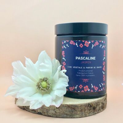 Scented candle with the fragrance of Grasse - Jasmine (180ml)
