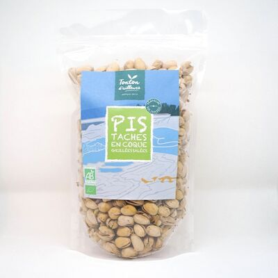 Organic roasted salted pistachios in shell