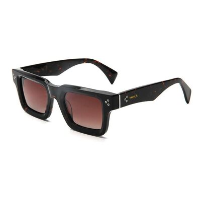 Cassidy Bold .Acetate Sunglasses