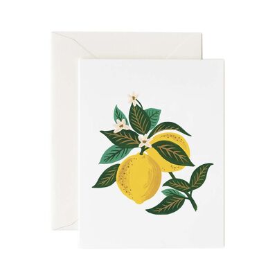 Carte postale Fleurs et citrons - Rifle Paper