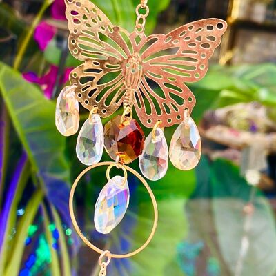 mariposa arcoíris ojo de tigre broncita