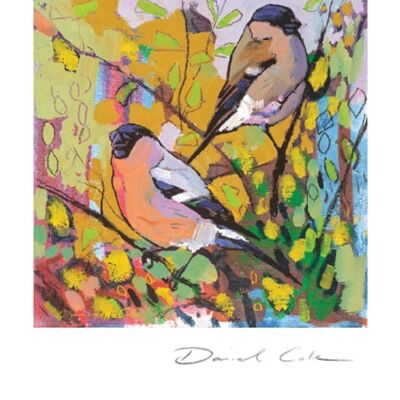 Bullfinches Cock and Hen Greetings Card