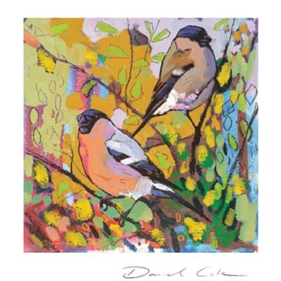Bullfinches Cock and Hen Greetings Card