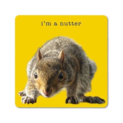 I'm A Nutter Coaster