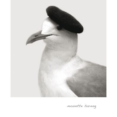 Gull in a Beret Greeting Card