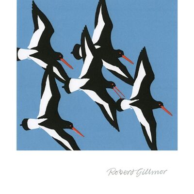 Oystercatcher Quintet Greetings Card