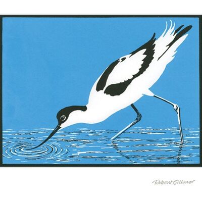 Avocet Feeding Greetings Card