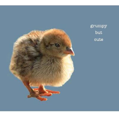 Grumpy But Cute Greeting Card