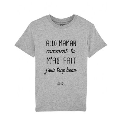 Tee-shirt Allo trop beau gris