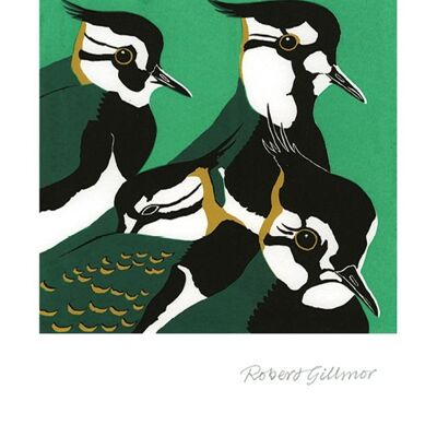 Green Plovers Greetings Card