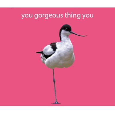 you gorgeous thing you Greeting Card
