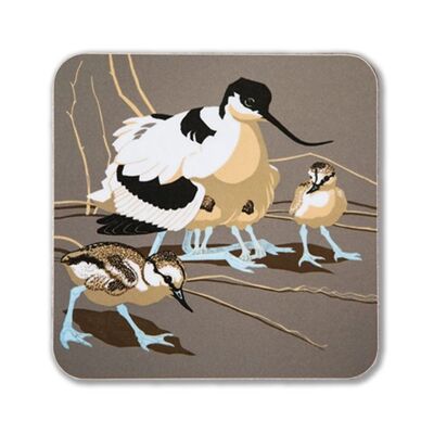 Avocet and Chicks Coaster