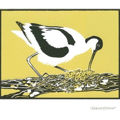 Avocet Egg Turning Greetings Card