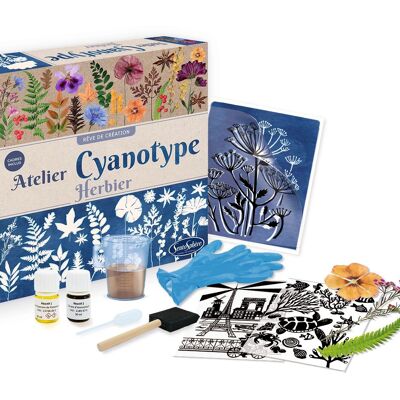 Sentosphere Cyanotypie-Fotografie-Workshop – Blumen