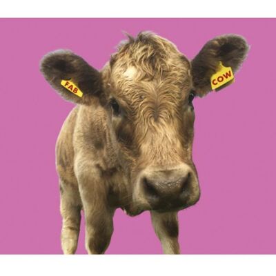 Fab Cow Greeting Card