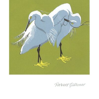 Preening Egrets Greetings Card