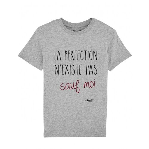 Tee-shirt la perfection n'existe pas sauf moi gris