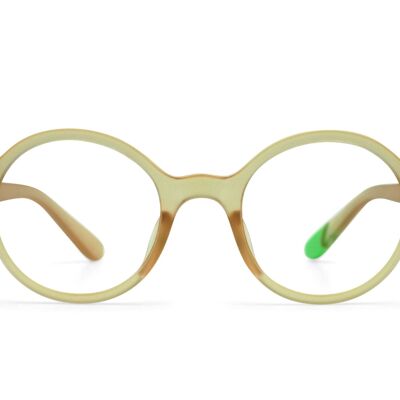 Haven – Bambou - READING