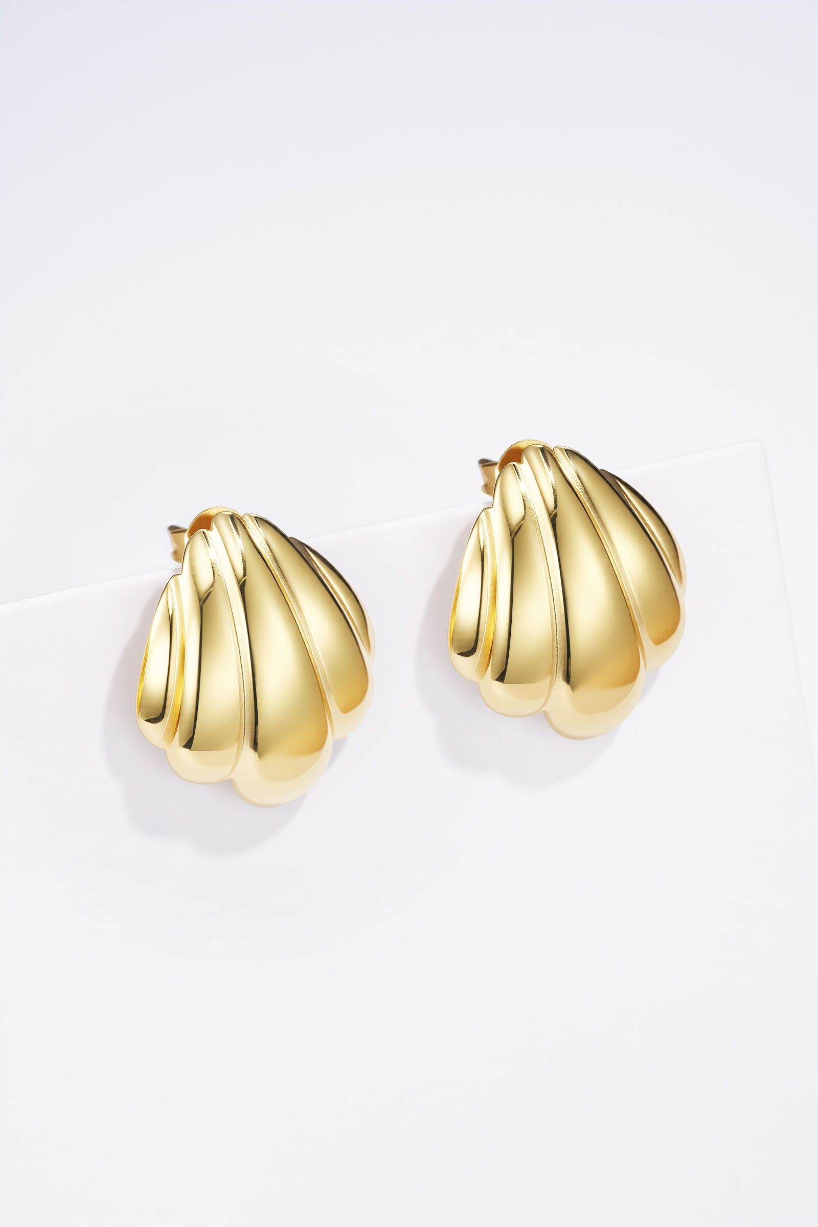 Orecchini in acciaio inossidabile 124AQ426