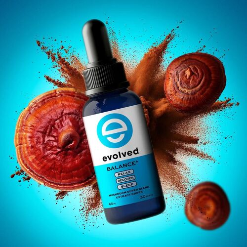 Balance+ Mushroom & Adaptogen Liquid Extract | Organic Reishi, Chaga & Ashawagandha for Calm, Sleep & Immunity