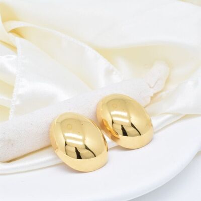 Boucles d'oreilles en acier inoxydable -BO100351