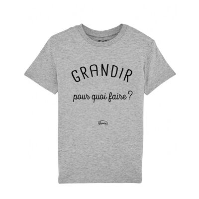 Grandir pour quoi gray heather t-shirt