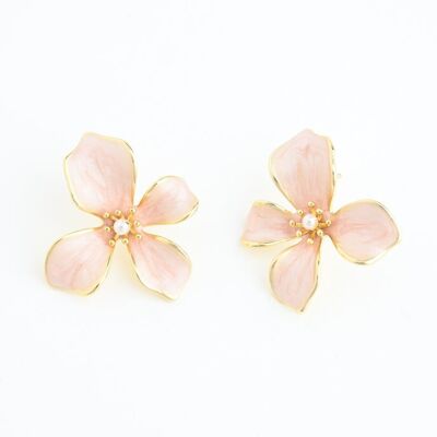 L'espoir fleurit dans Misty Rose