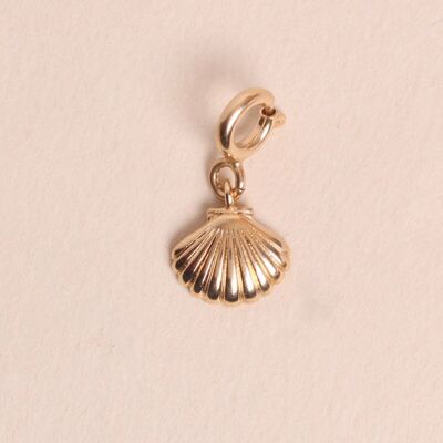 Shell Charms
