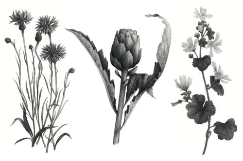 2 planches de Tatouages éphémères - Les fleurs du bien-être, Edition limitée