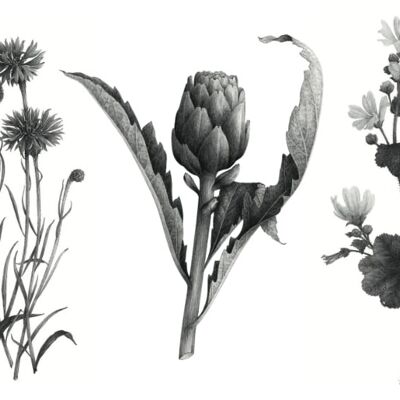 2 fogli di tatuaggi temporanei - I fiori del benessere, Edizione limitata