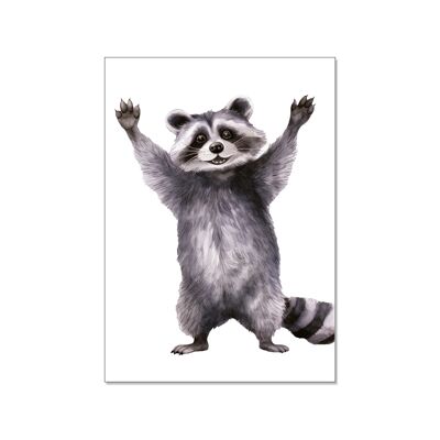 Postcard high, raccoon