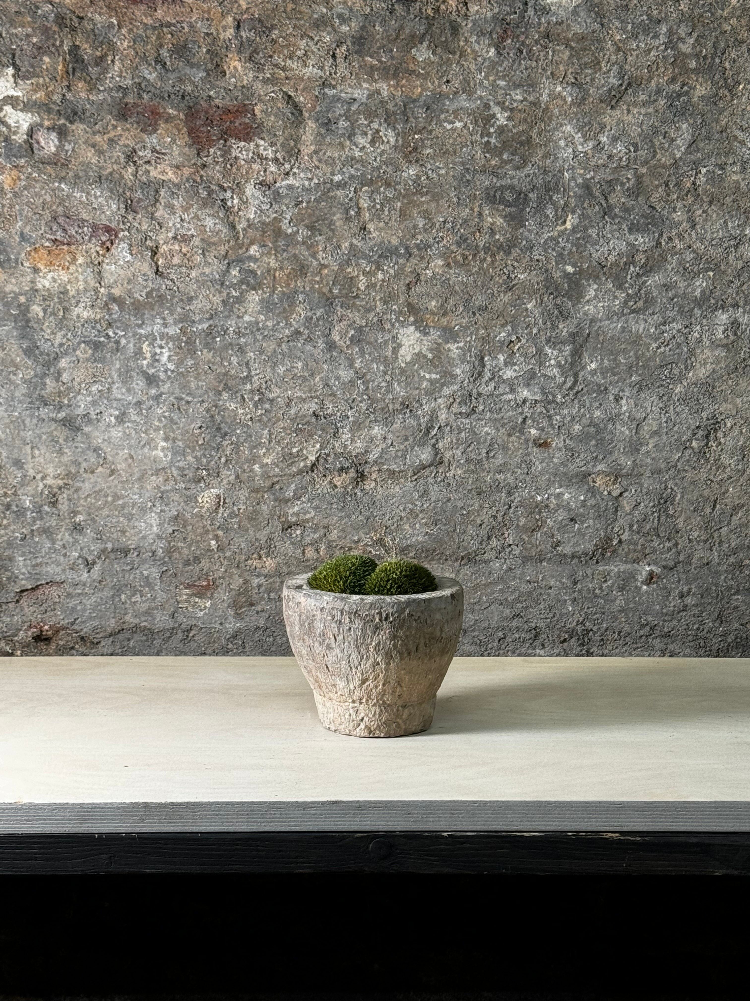 Antiker Steinmörser mit Moos FR1