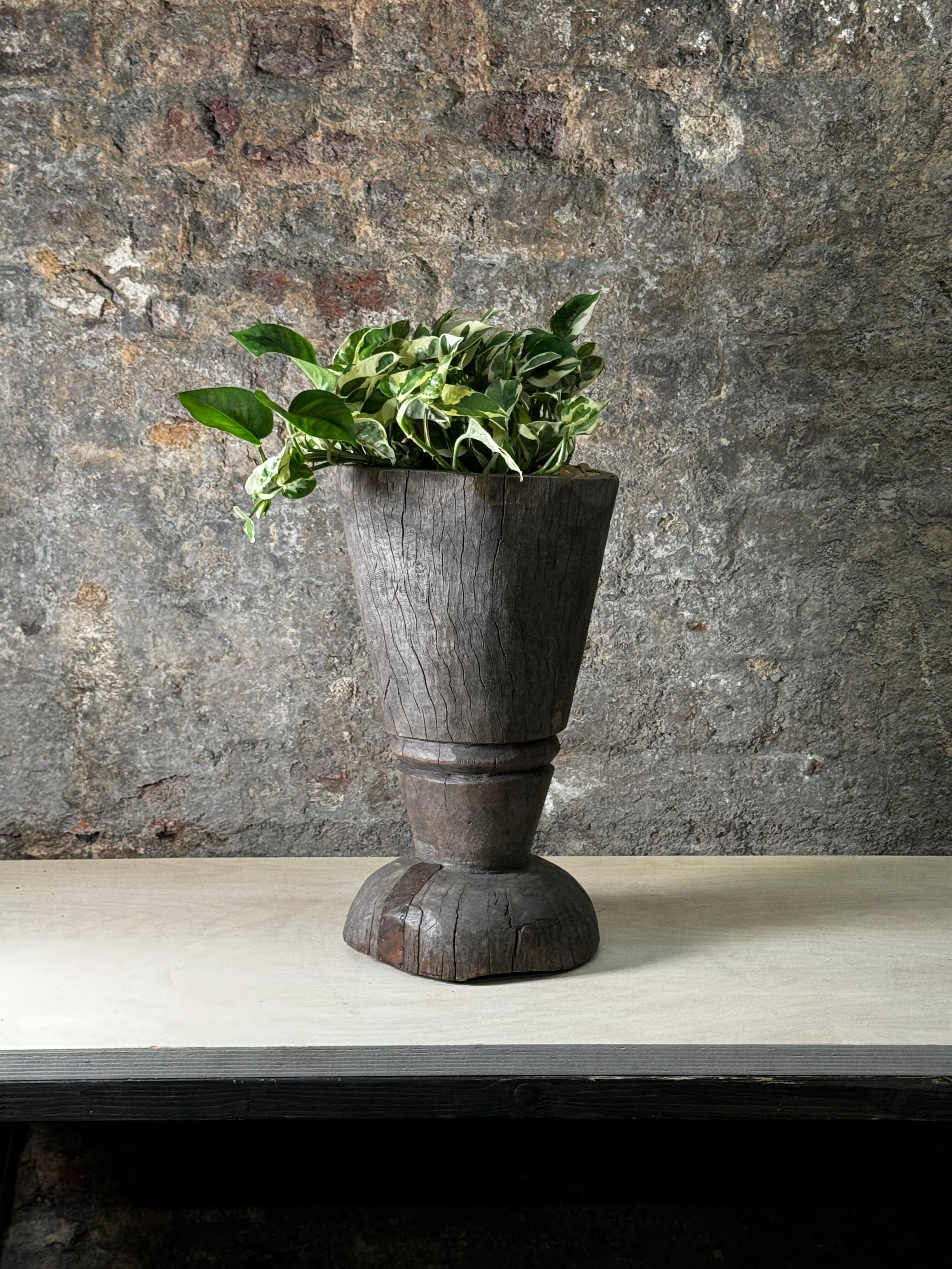 Vintage Grain Stomper bepflanzt mit Pothos Sommer FR22