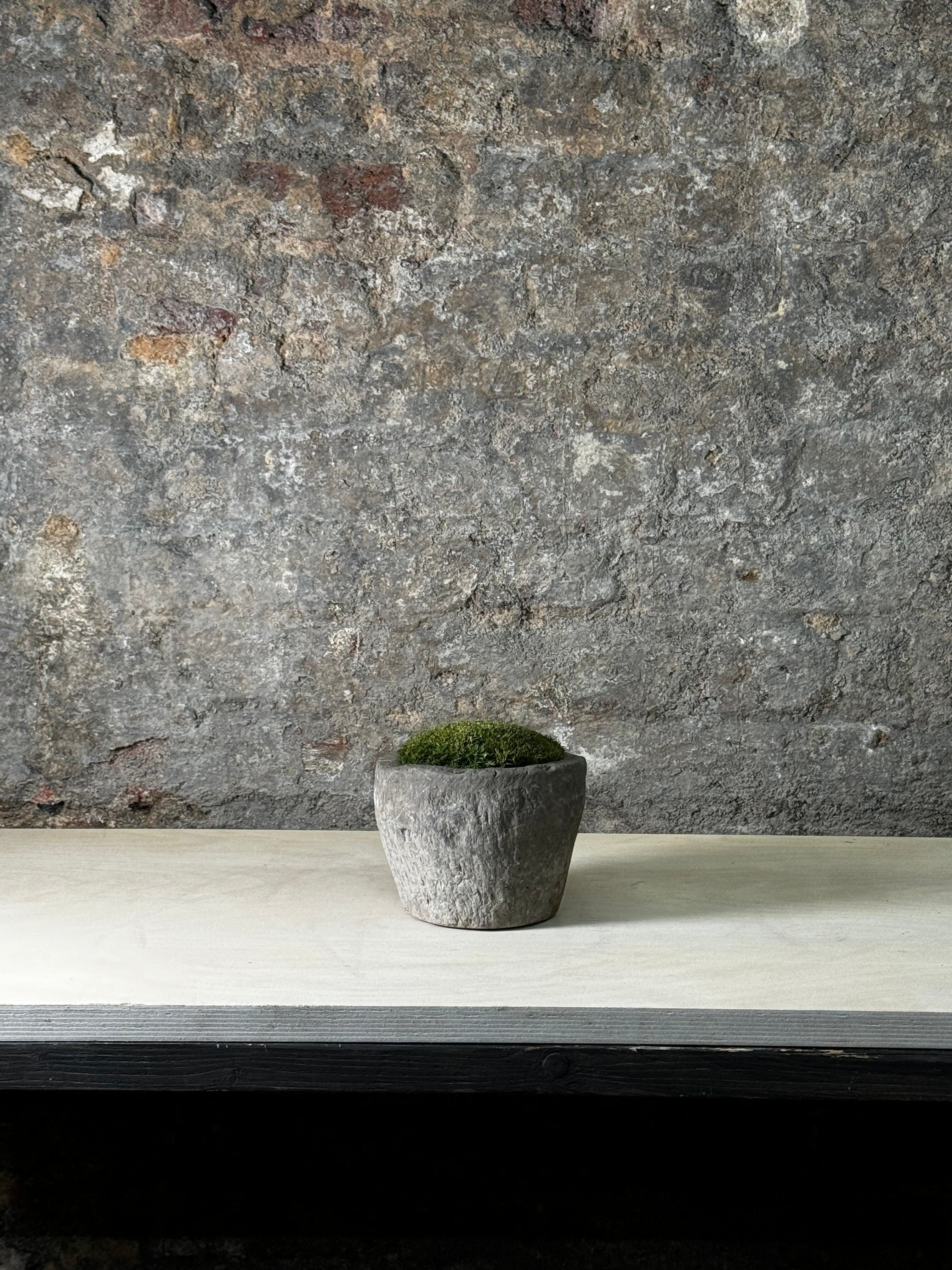 Antiker Steinmörser mit Moos FR9