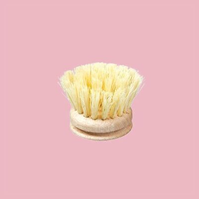 Recharge brosse vaisselle - bois