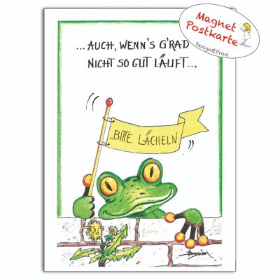 Magnetische Karte - Bitte lächeln - Moderner Frosch - MF/006-H-101469