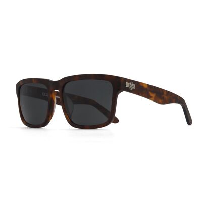Arctic Brown Tortoise / Black